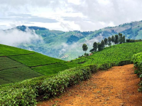 Ghar - Homestay, Where Family Lives Together